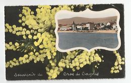 06 Cros De Cagnes Souvenir Mimosas - Cagnes-sur-Mer