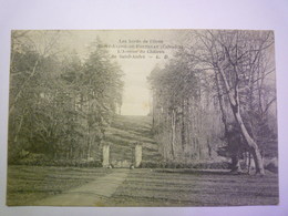 GP 2019 - 1567  ST-ANDRE-de-FONTENAY  (Calvados)  :  L'Avenue Du Château De ST-ANDRE   1905   XXX - Other & Unclassified