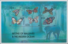 Thematik: Tiere-Schmetterlinge / Animals-butterflies: 1990/2005 (ca.), Comprehensive MNH Accumulatio - Farfalle