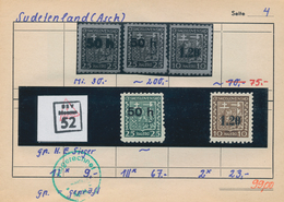 Sudetenland: 1938/1941, Saubere Partie Incl. Etwas Böhmen Und Mähren, Dabei Asch MiNr. 1, 2, 5, Reic - Région Des Sudètes