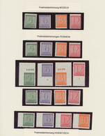Sowjetische Zone - West-Sachsen: 1945/1946, Fast Ausschließlich Postfrische Spezialisierte Sammlung - Sonstige & Ohne Zuordnung