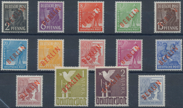 Berlin: 1949, Kompletter Jahrgang Rotaufdruck Bis Währungsgeschädigte Ohne Block, Alles Postfrisch E - Lettres & Documents