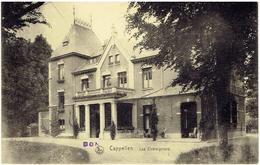 CAPPELLEN - Les Châtaigniers - Kapellen