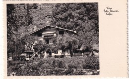 AUUTRICHE 1956    CARTE POSTALE  DE LOFER HAUS PETER STAINER - Lofer