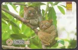 Philippines - Tarsier, Wild Animals, Smallest Monkey Of The World, Used Phonecard - Filippine