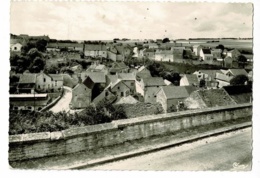 Cruzy Le Chatel - Vue Sur La Maladière - Circulé 1968 - Cruzy Le Chatel