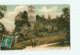 BEAUVOIR En ROYANS - Ruines De La Chapelle Du Château Animées Et Colorisées- 2 Scans - Other & Unclassified