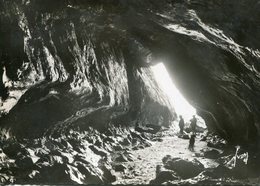 CP - 29-Plogoff-Baie Des Trépassés;une Des Grottes Marines   (non  écrite ) - Plogoff