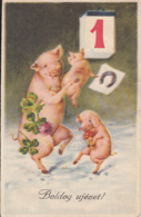 CPA MUSHROOMS, FLOWER, CLOVER, PIGS, HORSESHOE, HAPPY NEW YEAR - Pilze