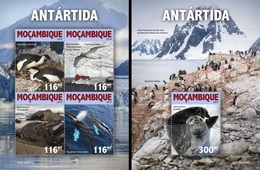 Mozambico 2019, Animals In Antartide, 4val In BF +BF - Antarctic Wildlife