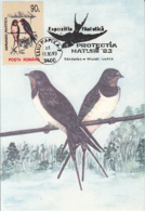 BIRDS, SWALLOWS, BARN SWALLOW, CM, MAXICARD, CARTES MAXIMUM, 1993, ROMANIA - Hirondelles