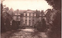 Carte Postale Ancienne De  Le MESNIL Saint DENIS - Le Château - Le Mesnil Saint Denis