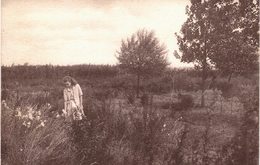 Carte Postale Ancienne De  Le MESNIL Saint DENIS - La Pépinière De La Jeunesse Sportive - Le Mesnil Saint Denis