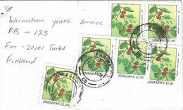 Zimbabwe 2000 Famona Indian Jujube Fruit Ziziphus Mauritiana Cover - Zimbabwe (1980-...)