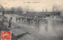 Vatan           36       Le Grand Gué. Vaches A L Abreuvoir    (voir Scan) - Andere & Zonder Classificatie