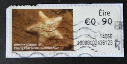 IRLANDA ATM 2013 - Franking Labels