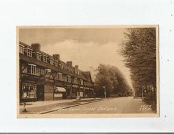 LITTLE CHALFONT  COKES LANE - Buckinghamshire