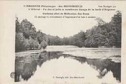STE MENEHOULD - L'Alleval - Un Des Jolis Et Nombreux étangs De La Forêt D'Argonne. Rare - Sainte-Menehould
