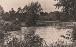 BRETEUIL SUR IRON -  L'Etang  Cliché Rare - Breteuil