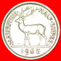 + STAG: MAURITIUS ★ 1/2 RUPEE 1965 KEY DATE! LOW START ★ NO RESERVE! - Mauricio