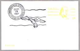 MARSHWOOD STATION - AVE - BIRD. Eliot ME 1987 - Mechanical Postmarks (Advertisement)