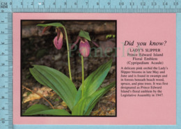 Flowers - Lady's Slipper, Prince Edward Island Canada , Emblem, - - Autres & Non Classés