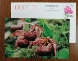 Lady's Slippers Orchid,China 1999 Yunnan Rare Orchid Flower Postal Stationery Card - Orchids