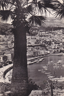 MONACO,CARTE PHOTO - Autres & Non Classés