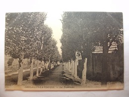 Carte Postale Coulange La Vineuse (89) Les Promenades ( Petit Format Noir Et Blanc Non Circulée ) - Coulanges La Vineuse