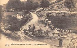 03-NERIS-LES-BAINS- LES LAVANDIERES - Neris Les Bains