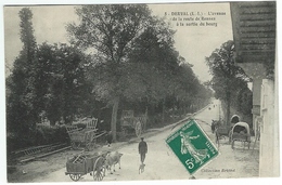 DERVAL L'avenue De La Route De Rennes à La Sortie Du Bourg (collection Briand 8 - Animée Attelages Carrioles Charettes) - Derval