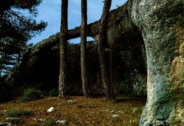 ESPAGNE  CUENCA  CIUDAD ENCANTADA  LUCHA ENTRE UN COCODRILO Y UN ELEFANTE - Cuenca