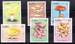 Serie De Cuba Nº Yvert 2907/12 ** SETAS (MUSHROOMS) - Unused Stamps