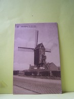 WELVEGHEM (BELGIQUE) LES MOULINS A VENT. LE VIEUX MOULIN. - Wevelgem