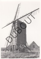 HARELBEKE  Molen / Moulin - Originele Foto Jaren '70 A.Carre - Koutermolen (Q114) - Harelbeke