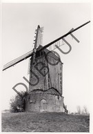 ZARREN / KORTEMARK  Molen / Moulin - Originele Foto Jaren '70 A.Carre - Wullepitmolen  (Q112) - Kortemark