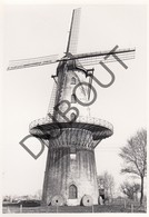 ZARREN / KORTEMARK  Molen / Moulin - Originele Foto Jaren '70 A.Carre - Couchezmolen  (Q123) - Kortemark