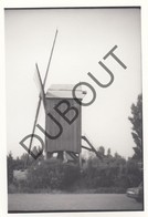 KUURNE Molen / Moulin - Foto Jaren '70 A.Carre -   (Q34) - Kuurne