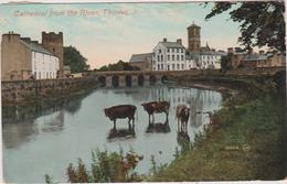Royaume-uni   Thurles Cathedral From The River - Autres & Non Classés