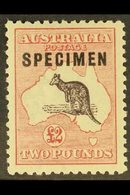 1915-27  £2 Black And Rose Kangaroo With "SPECIMEN" Overprint, SG 45s, Very Fine Mint. For More Images, Please Visit Htt - Otros & Sin Clasificación