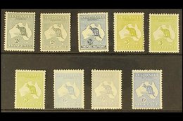 1915-27 MINT ROO SELECTION  Presented On A Stock Card That Includes (Narrow Crown Wmk) 2d Grey (Die I) SG 35, 2d Grey (D - Autres & Non Classés