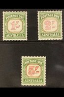 POSTAGE DUE  1953-59 Carmine & Deep Green Set, SG D129a/31a, Never Hinged Mint. Superb (3 Stamps) For More Images, Pleas - Altri & Non Classificati