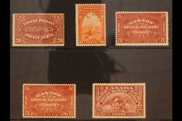 SPECIAL DELIVERY STAMPS  1922-1946 COMPLETE VERY FINE MINT RUN On Stock Cards, SG S4/17, Includes 1922 20c, 1930 20c, 19 - Otros & Sin Clasificación