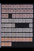 1938-52 KGVI DEFINITIVES MINT ACCUMULATION  On Stock Pages, Includes 20c Rose-red, 25c Bright Blue (x5), 30c Yellow-oliv - Autres & Non Classés