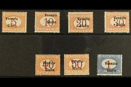 VENEZIA GIULIA  POSTAGE DUES 1918 Overprint Set Complete, Sass S4, Very Fine Never Hinged Mint. Cat €2500 (£1900) Rare S - Unclassified