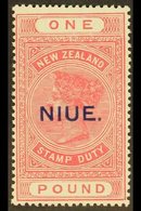 1918-29  £1 Rose- Pink On Cowan Paper, SG 37c, Never Hinged Mint. For More Images, Please Visit Http://www.sandafayre.co - Niue