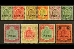 1908  Definitives Set Complete Overprinted "SPECIMEN", SG 59s/66s, Fresh Mint (10 Stamps) For More Images, Please Visit  - Nyassaland (1907-1953)