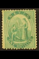 1862  1s Green On Greyish Paper, SG 4, Mint With Large Part Gum, A Couple Of Shorter Perfs. For More Images, Please Visi - San Cristóbal Y Nieves - Anguilla (...-1980)