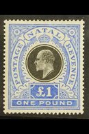 NATAL  1902 £1 Black And Bright Blue, SG 142, Very Fine Mint. For More Images, Please Visit Http://www.sandafayre.com/it - Non Classificati