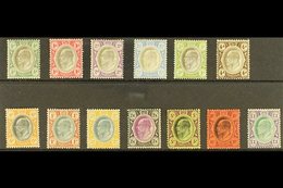 TRANSVAAL  1904-09 Ed VII MCA Wmk Set Complete On Ordinary Paper, SG 260/72, Fine Mint. (13 Stamps) For More Images, Ple - Non Classificati